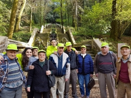 Mata Nacional do Bussaco